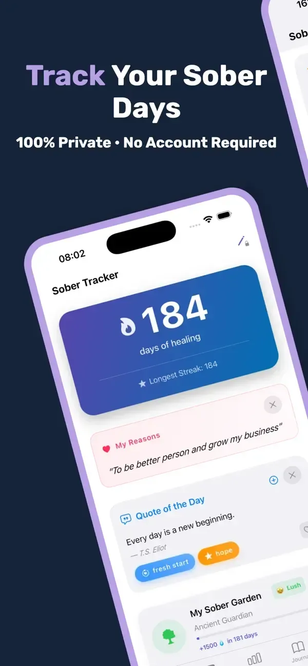 image of Sober Tracker image of Sober Tracker
