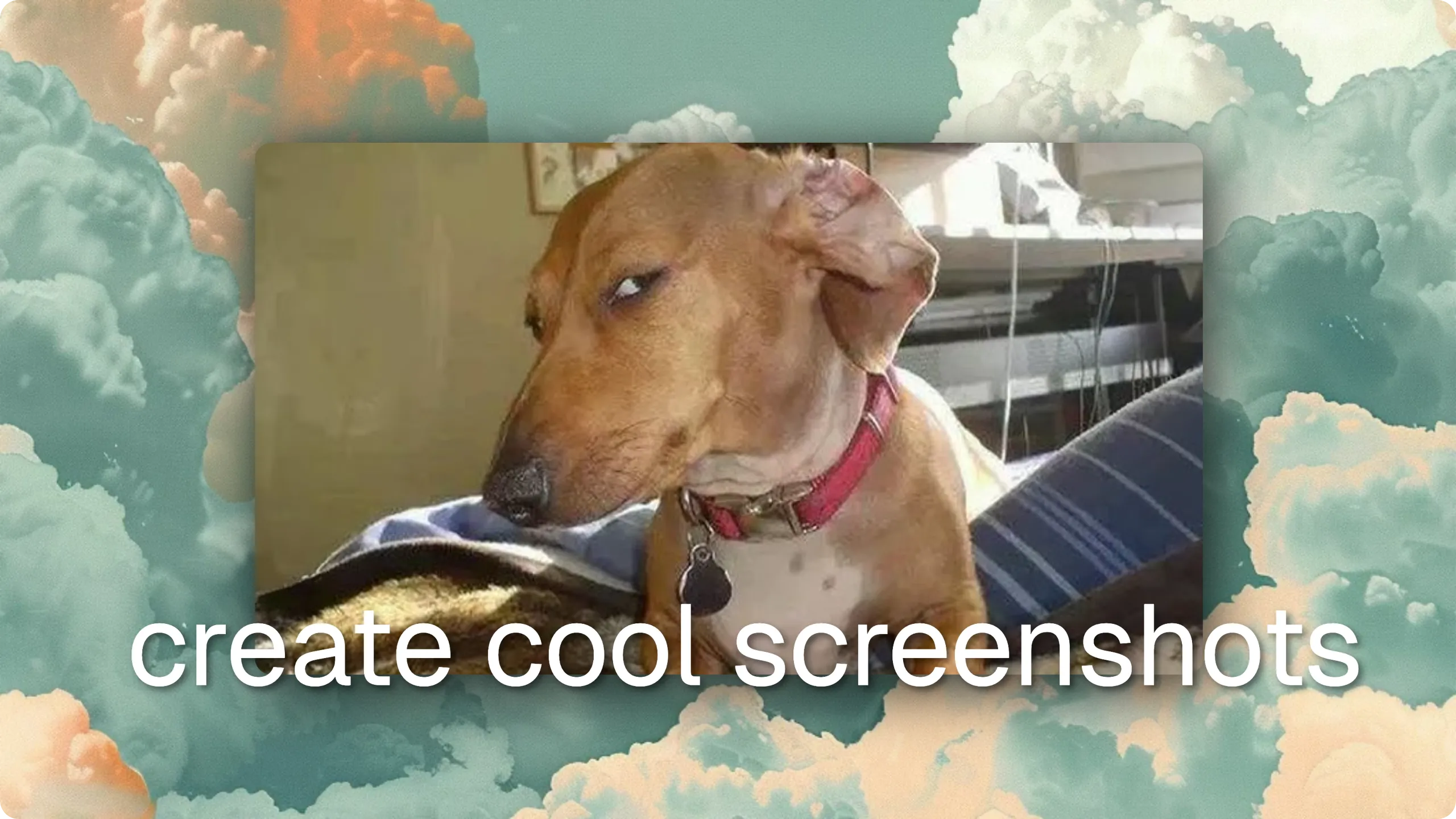 image of ScreenshotStyle