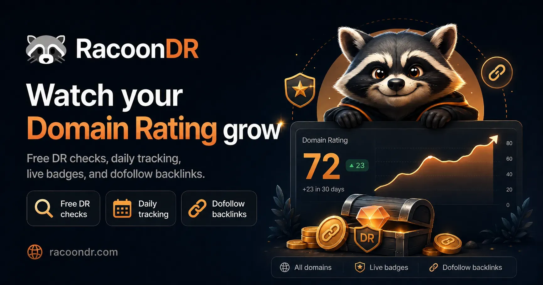 image of RacoonDR