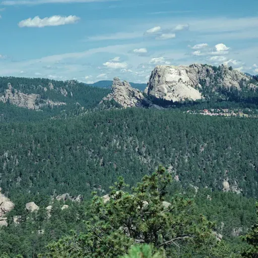 icon of Black Hills Hotels