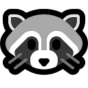 RacoonDR