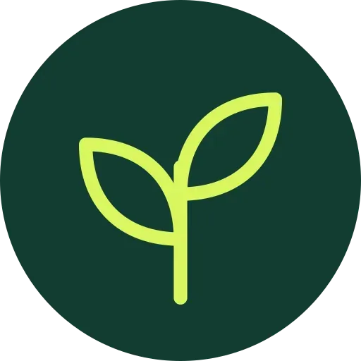 icon of Raíces Finanzas